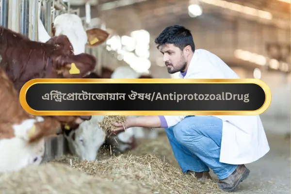 এন্ট্রিপ্রোটোজোয়ান ঔষধ-AntiprotozoalDrug