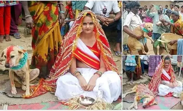 Sanatani Hindu Marriage Picture, সনাতনী হিন্দু বিবাহের ছবি~hinduism pictures, হিন্দু ধর্মের ছবি, Sanatani Hindu Gods Photo, সনাতনী হিন্দু ধর্মের ভগবান দেবতা দেবদেবীর ছবি~InformationBangla.com~ইনফরমেশন বাংলা ডটকম